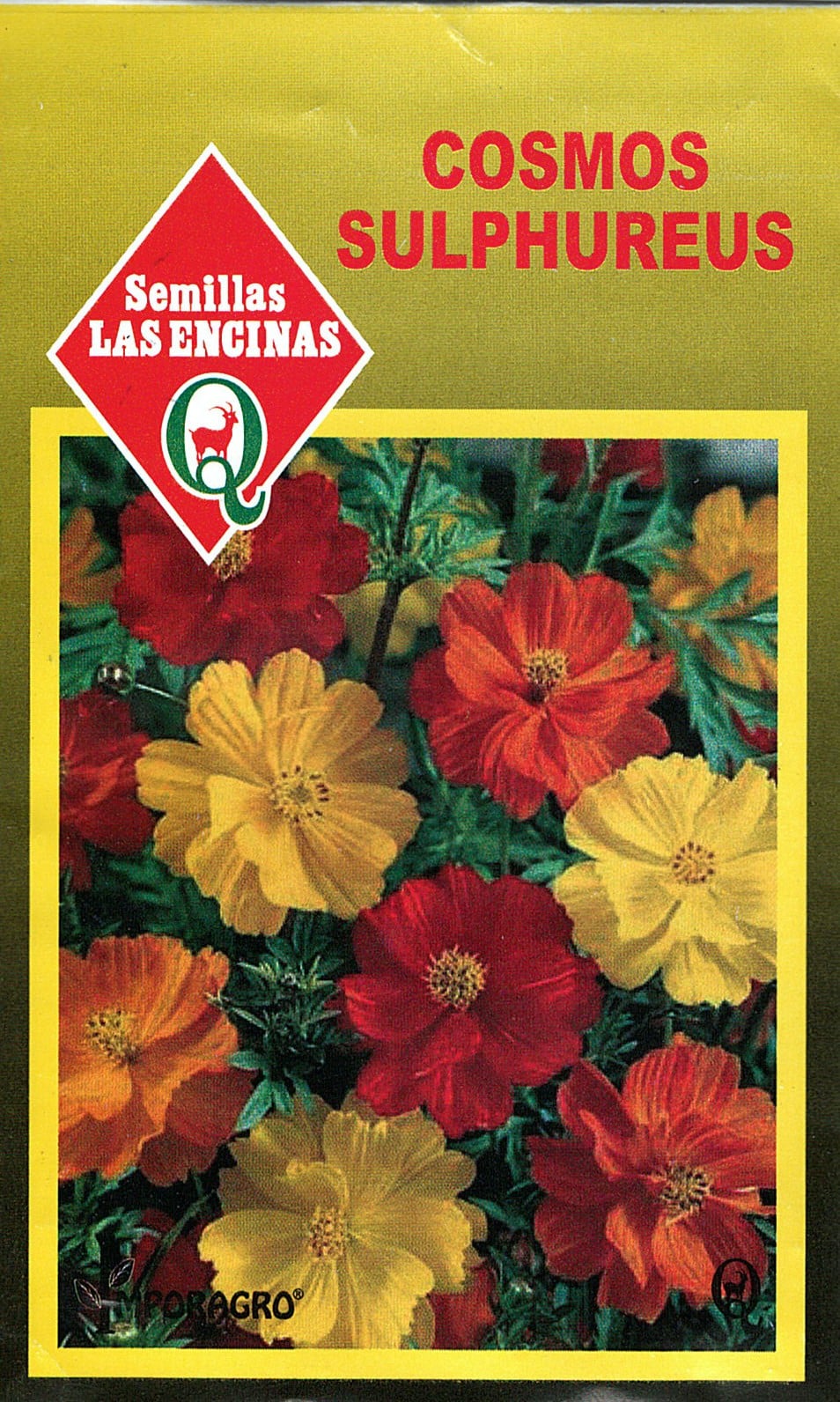Semillas de Cosmos Sulphureus