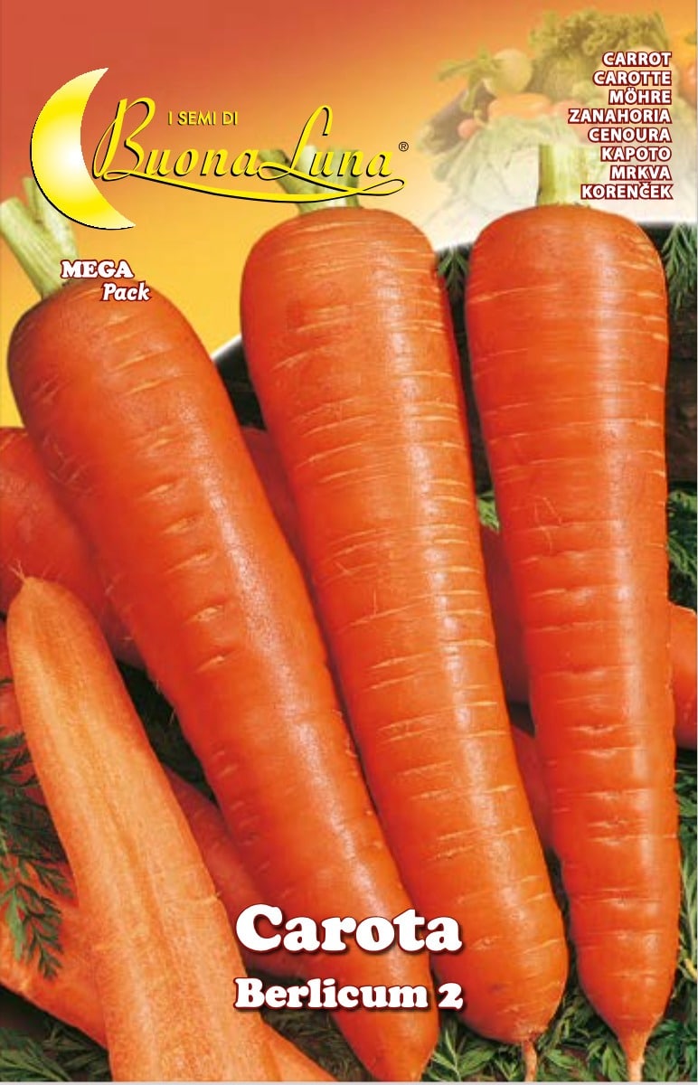 Semillas De Zanahoria Berlicum