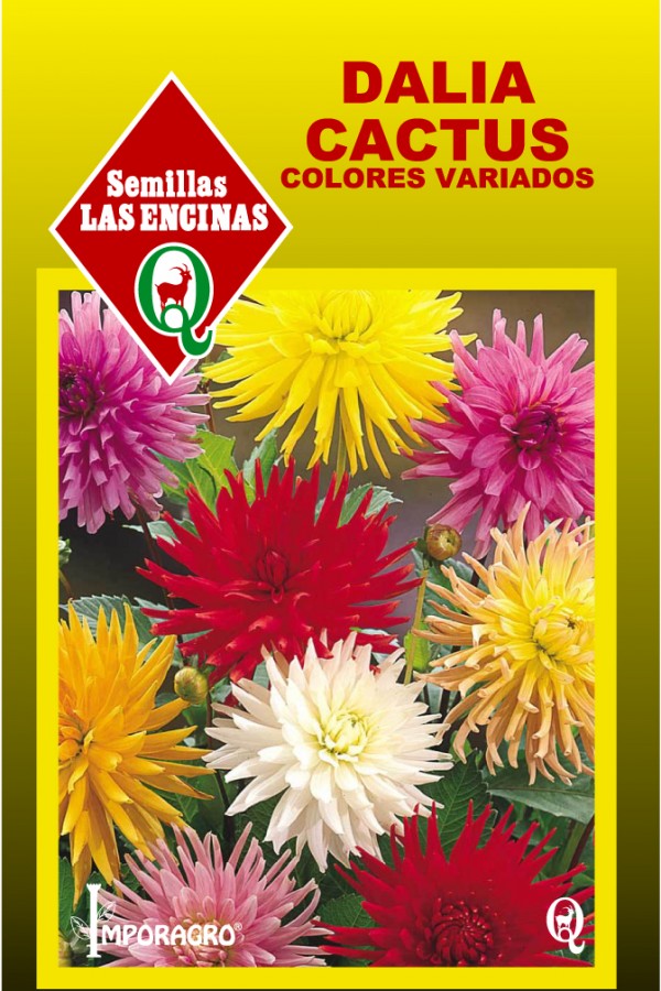Semillas de Dalia Cactus