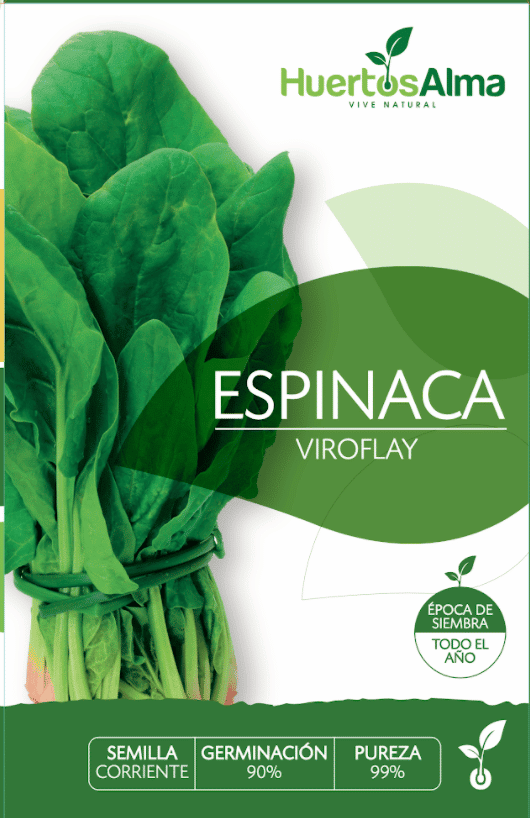 Semillas de Espinaca
