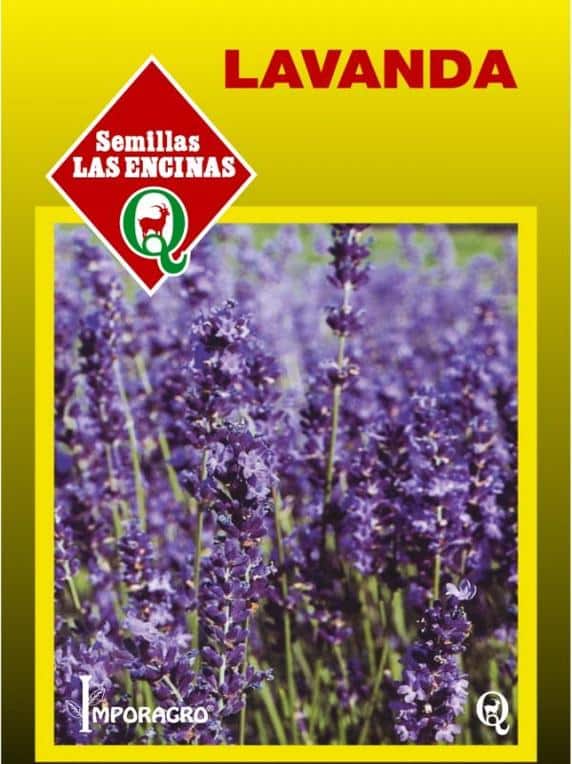 Semillas de Lavanda