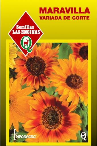 Semillas de Girasol Maravilla de Corte - Imagen 2
