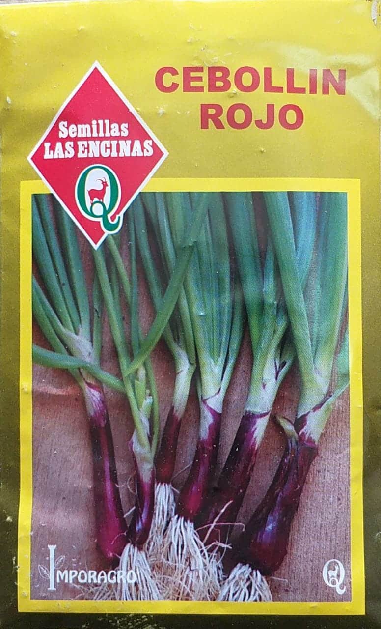 Semillas de Cebollín Rojo