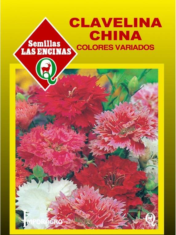 Semillas de Clavelina China Colores Variados