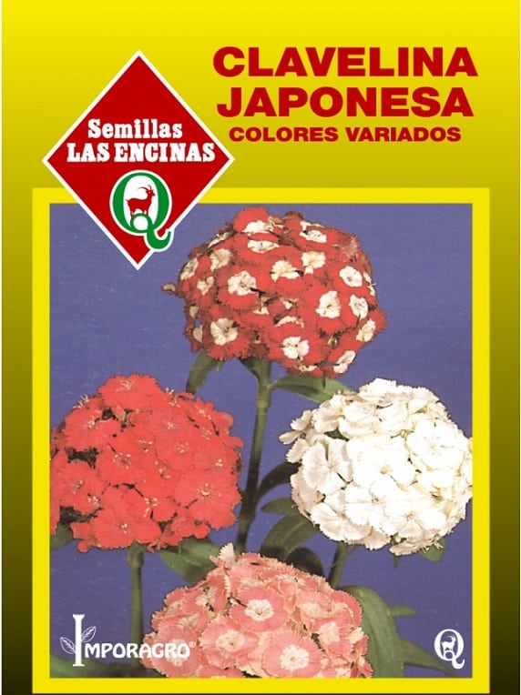 Semillas de Clavelina Japonesa