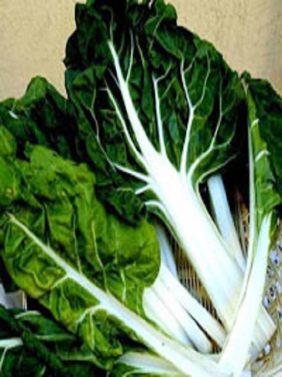 Acelga Verde Penca Blanca 100 Grs