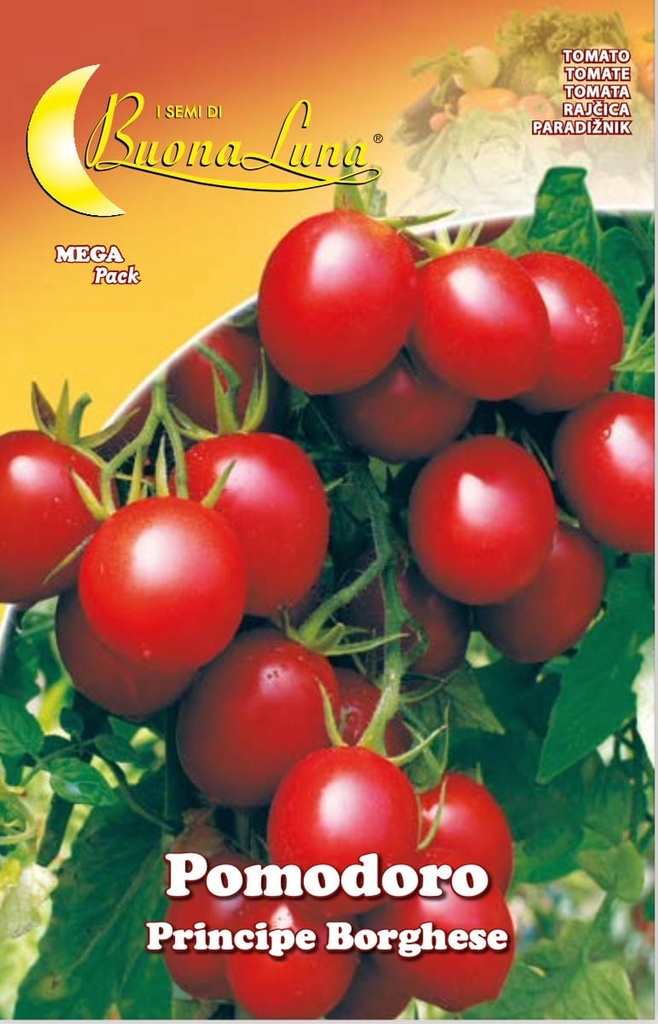 Semillas De Tomate Príncipe Burgués