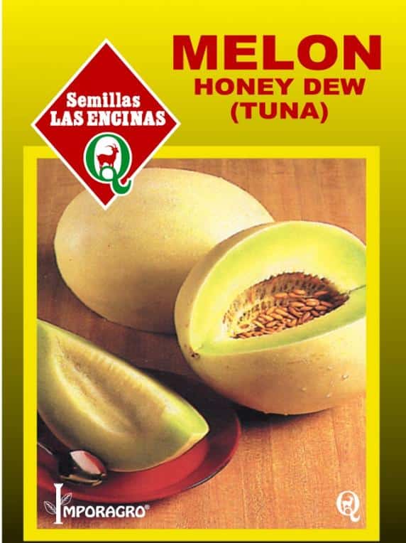 Semillas de Melón Tuna Honey Dew Green Flesh (Carne verde) 100 Grs