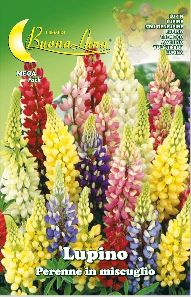 Semillas De Lupino Perenne Mix