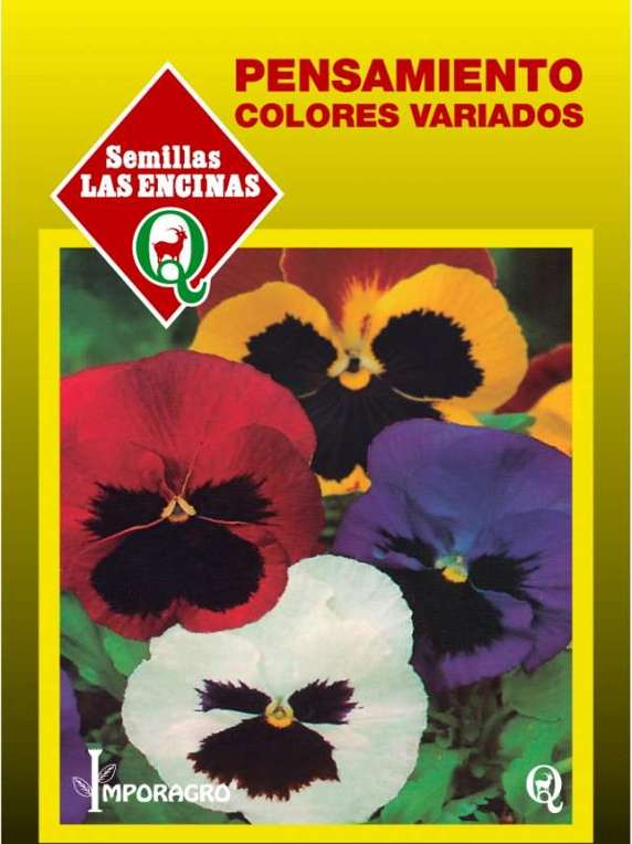 Semillas de Pensamiento
