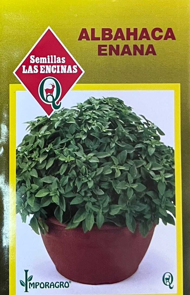 Semillas de Albahaca Enana