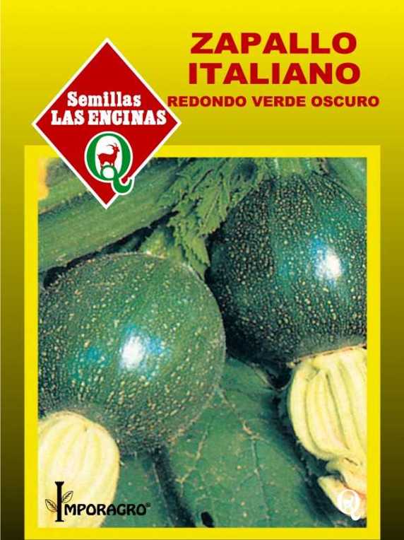 Semillas de Zapallito Italiano Bola 8 (Verde claro) 100 Grs