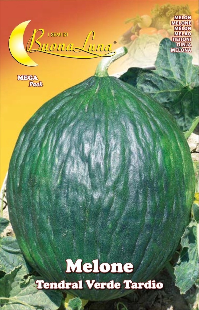 Semillas De Melón Tendral Tardío