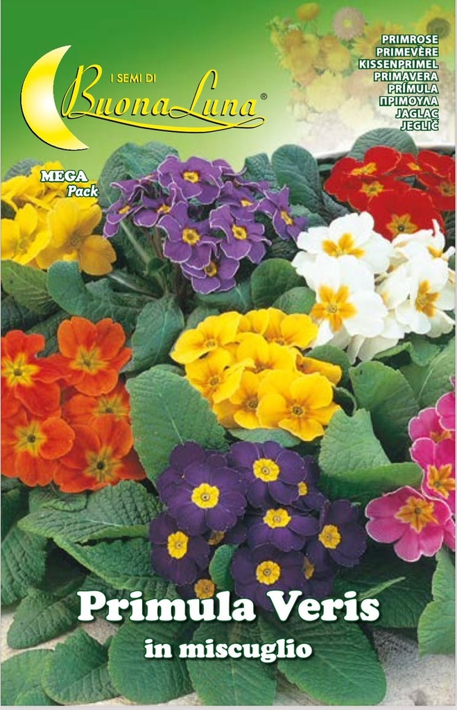 Semillas De Primavera