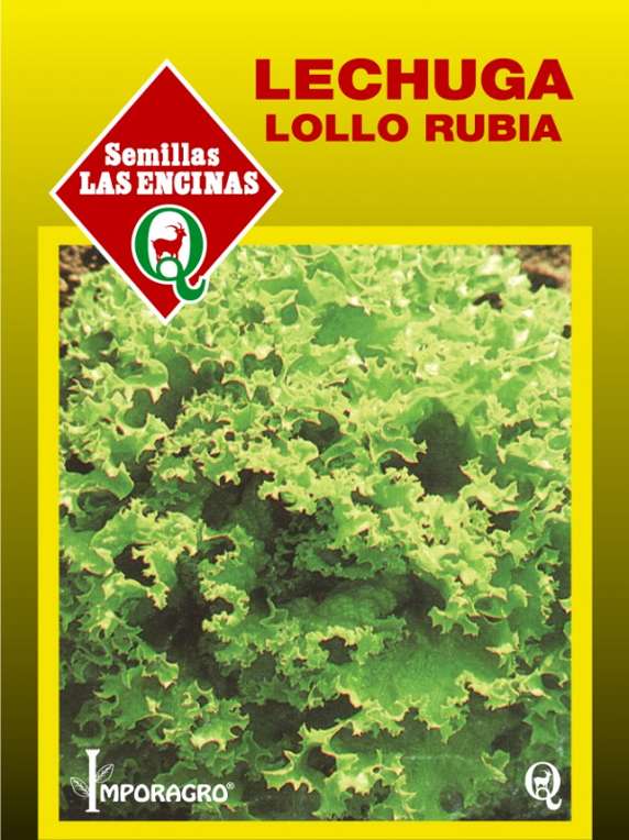 Semillas de Lechuga Lollo Bionda (Rubia)