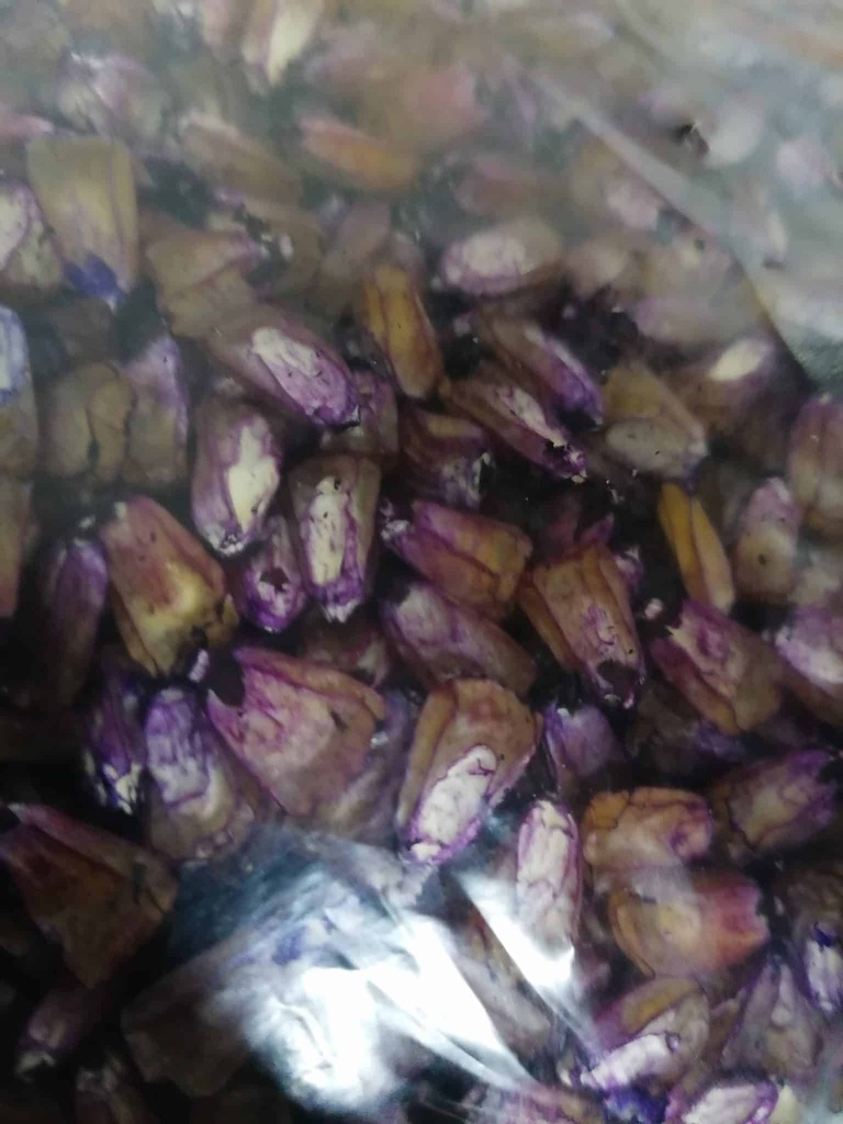 Maiz Caramelo 1 Kilo