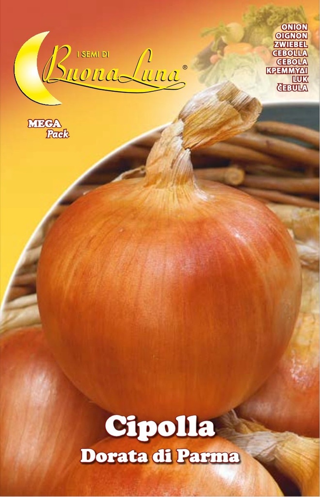 Semillas De Cebolla Dorada De Parma
