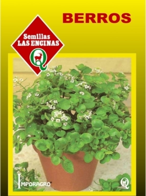 Semillas de Berros