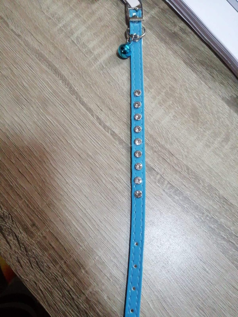 Collar Para Mascotas Para Gatos Cuerina Celeste