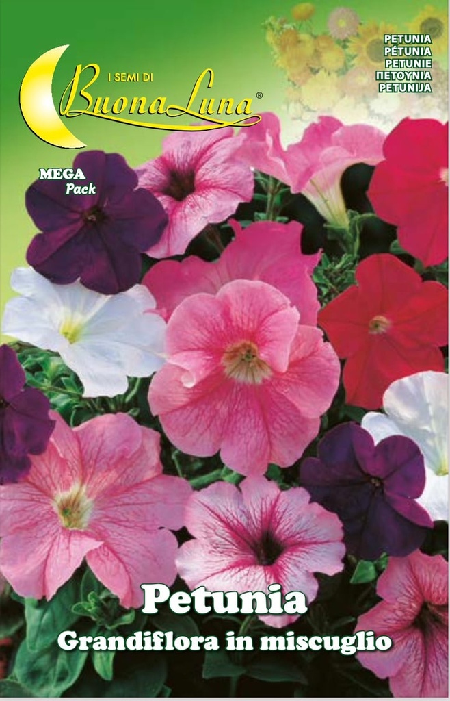 Semillas De Petunia Grandiflora Mix