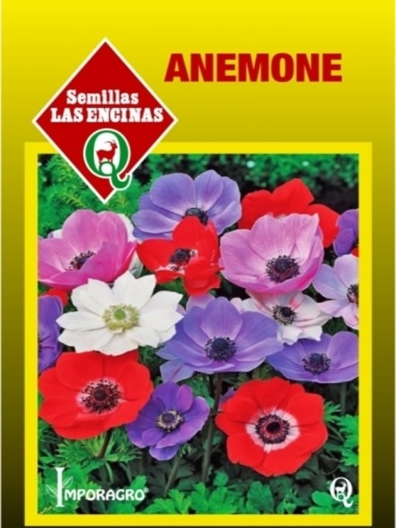 Semillas de Anémona