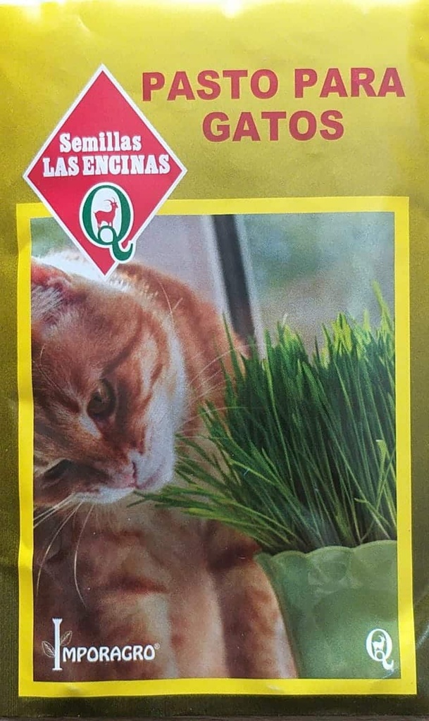 Semillas de Pasto para Gatos