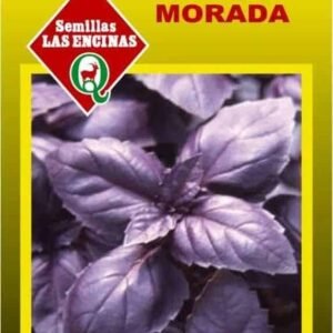 Semillas de Albahaca Morada