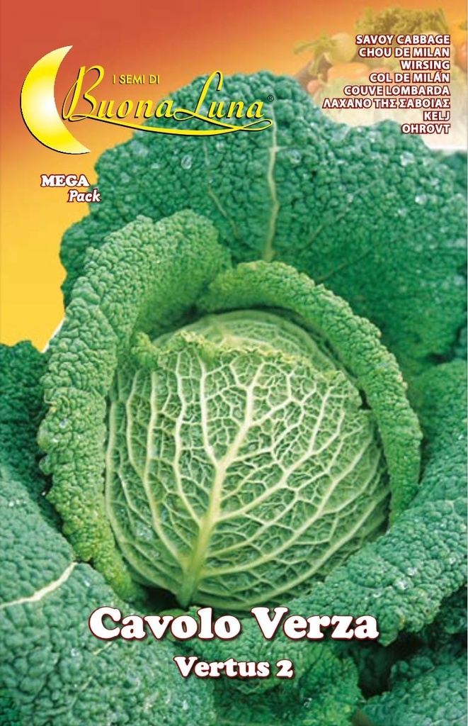 Semillas De Col Verza Di Vertus 2