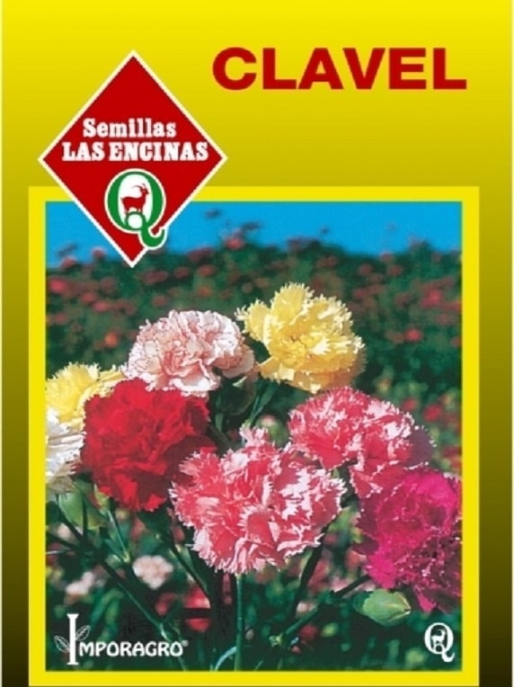 Semillas de Clavel