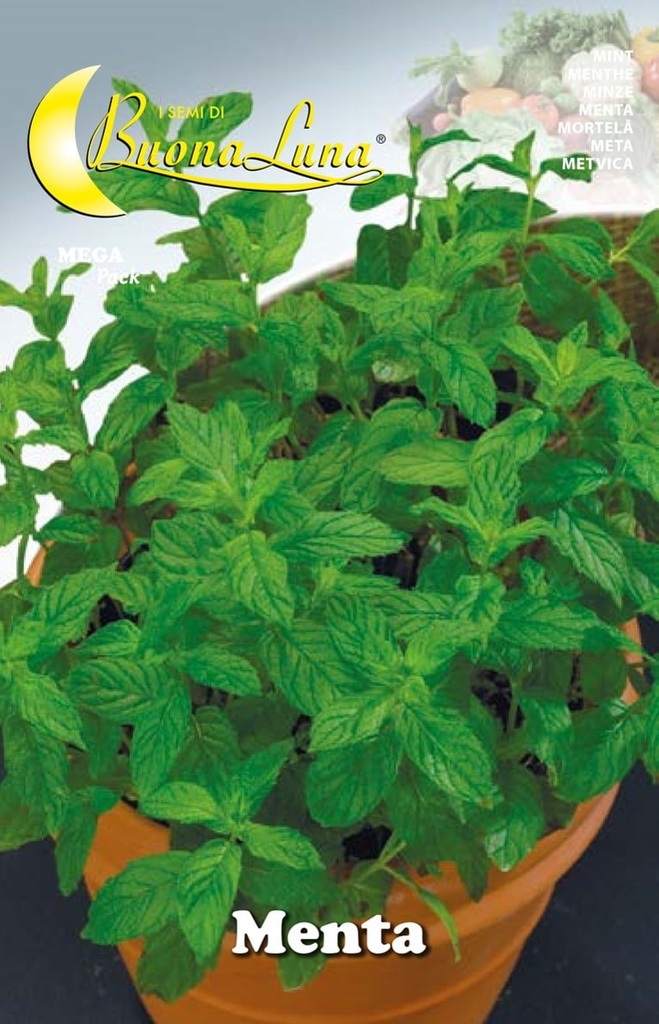 Semillas De Menta