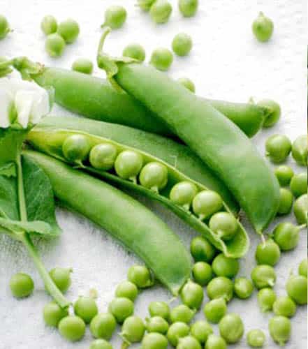 Semillas de Arveja Ultrillo 25 Kilos