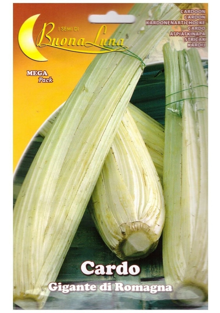 Semillas De Cardo Gigante De Romagna