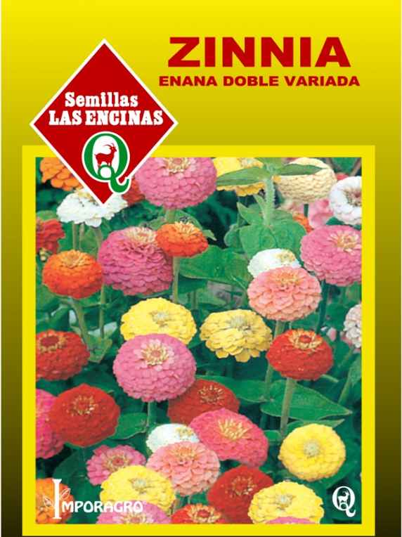 Semillas de Zinnia Enana Pompón