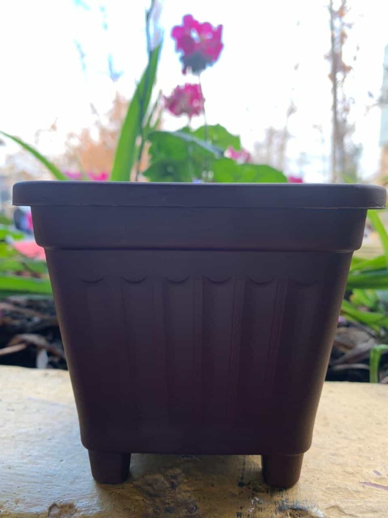 Macetero Cuadrado Negro 15 Cm