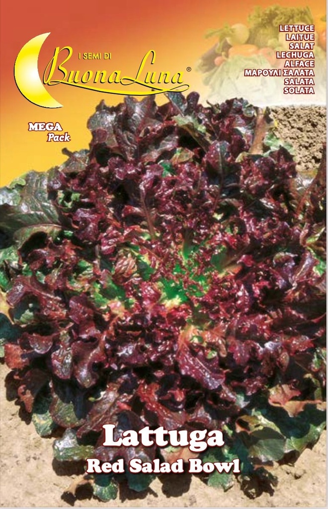 Semillas De Lechuga Red Salad Bowl