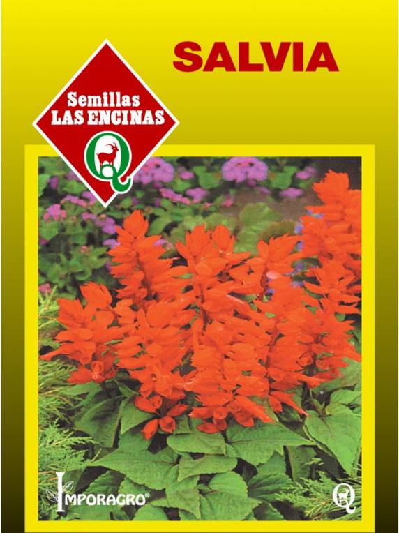 Semillas de Salvia Roja