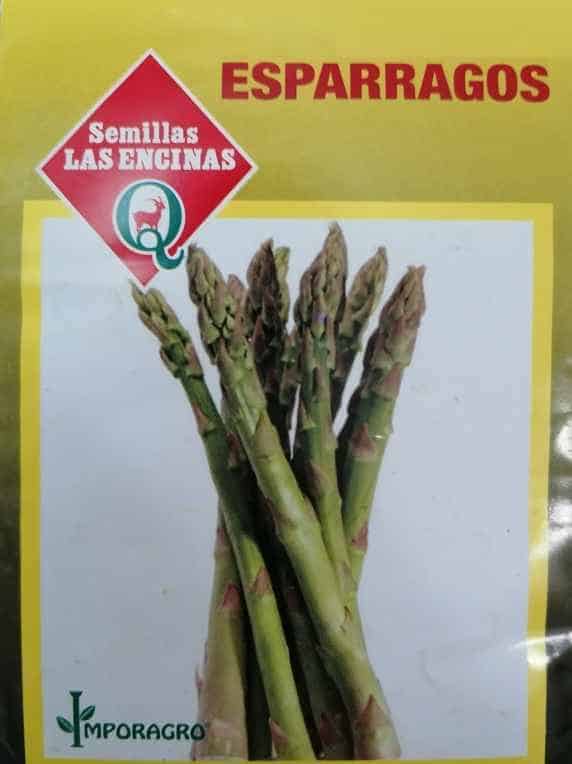 Semillas de Espárragos