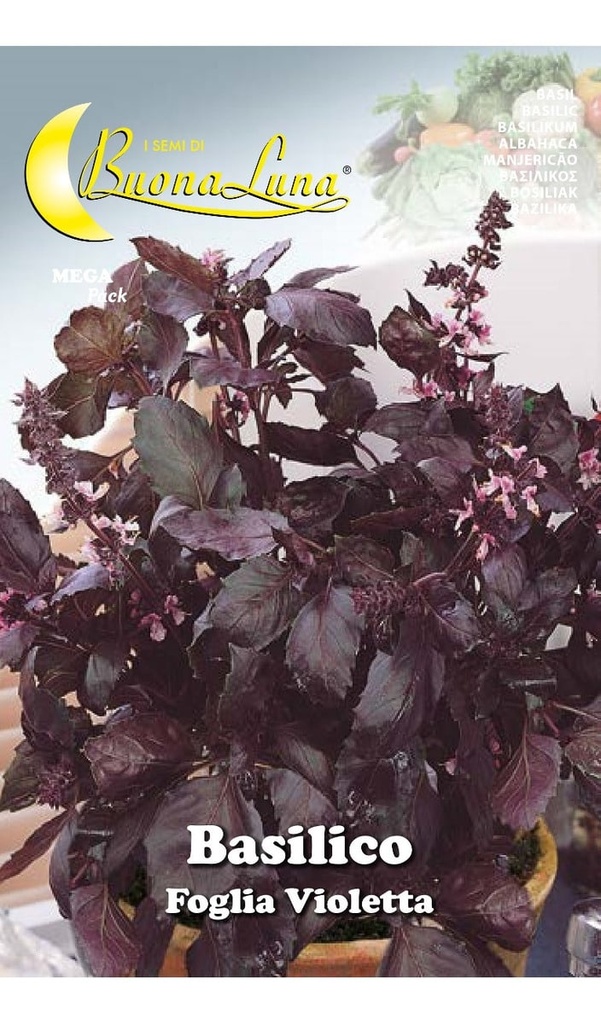 Semillas De Albahaca Morada
