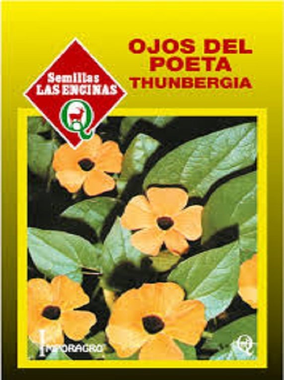 Semillas de Thumbergia Alta (Ojos del Poeta)