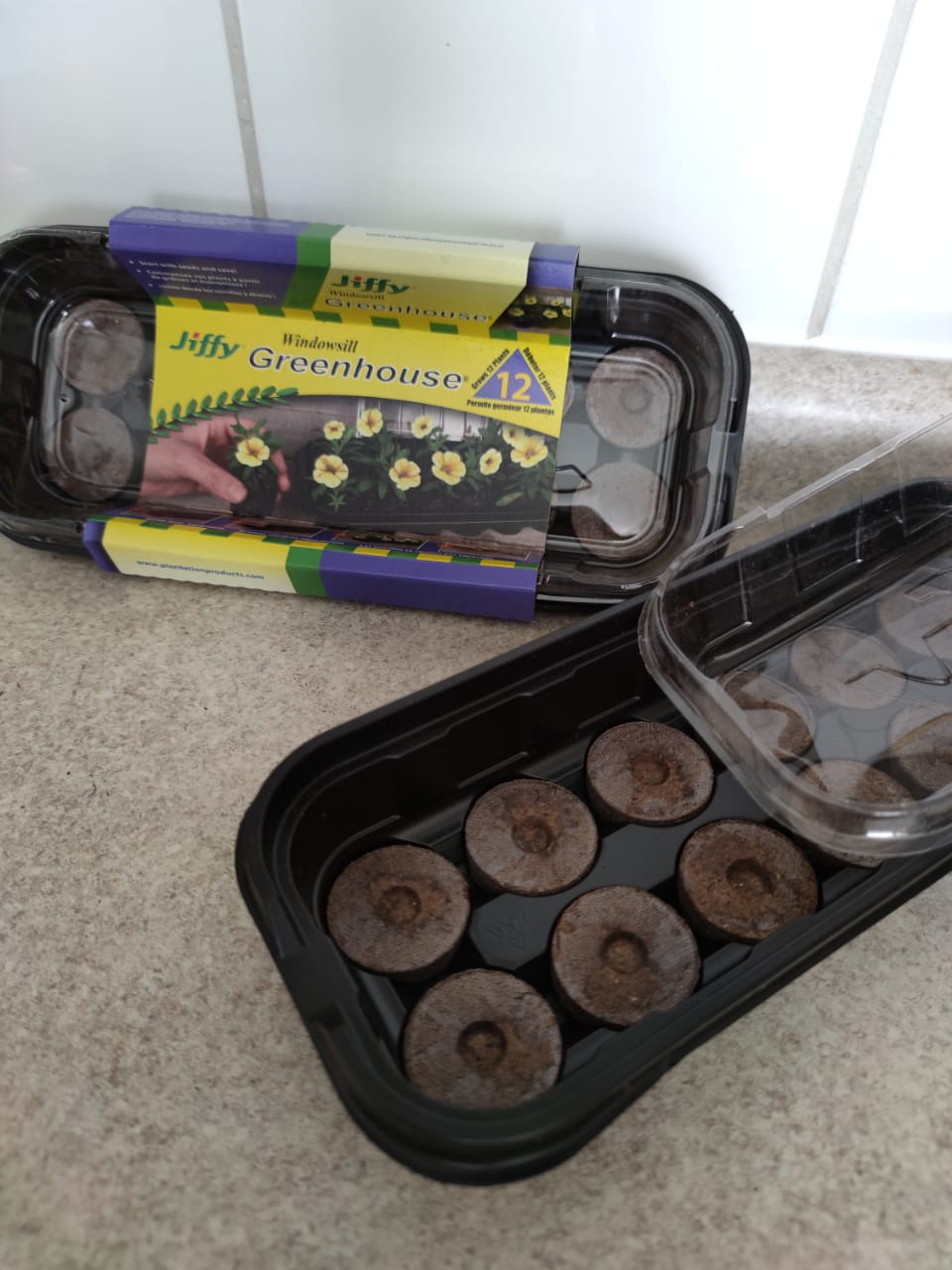 Mini invernadero con Discos Jiffy Peat Pellet 12 - Imagen 3