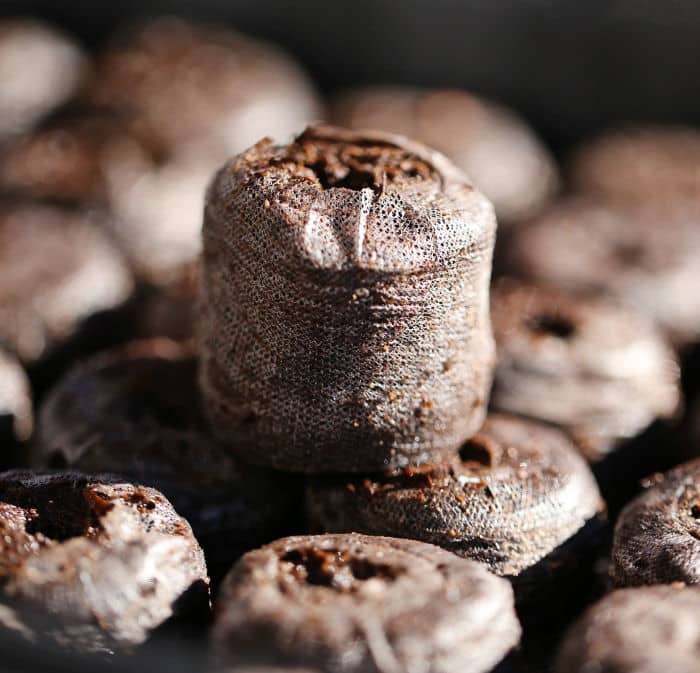 Mini invernadero con Discos Jiffy Peat Pellet 12 - Imagen 2