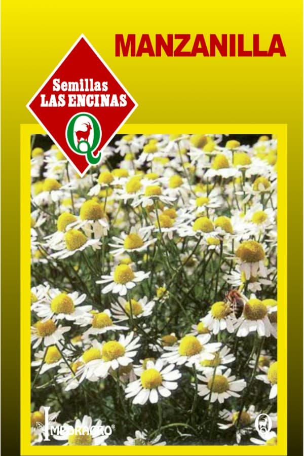 Semillas de Manzanilla