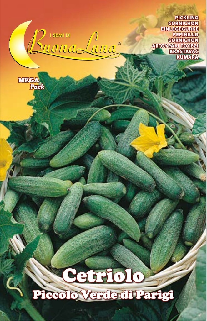 Semillas De Pepino Pequeño Verde De París