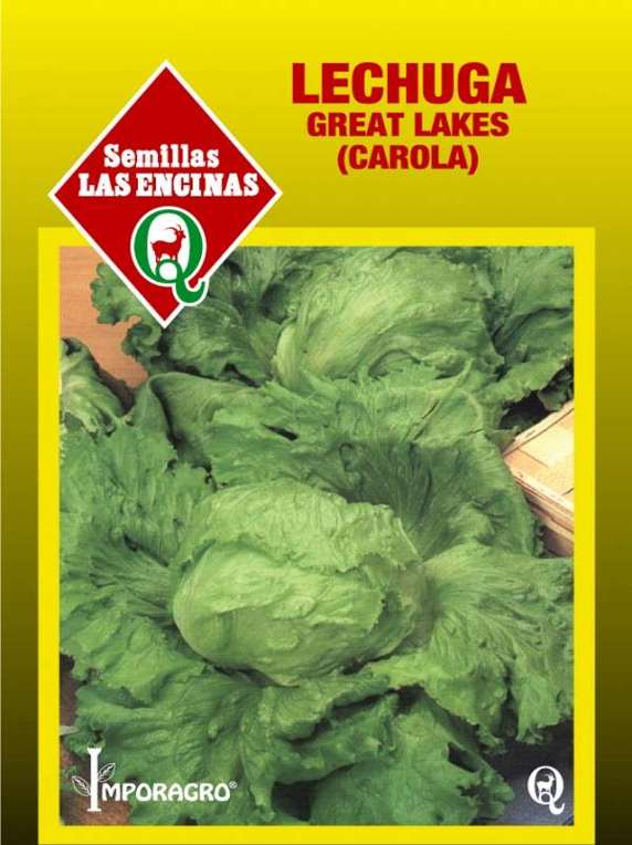 Semillas de Lechuga Escarola