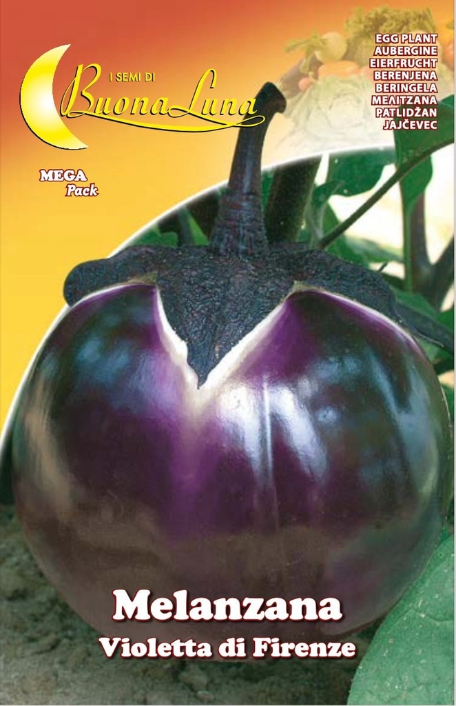 Semillas De Berenjena Violeta De Florencia