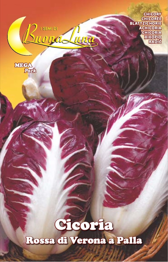 Semillas De Achicoria Bola Roja De Verona