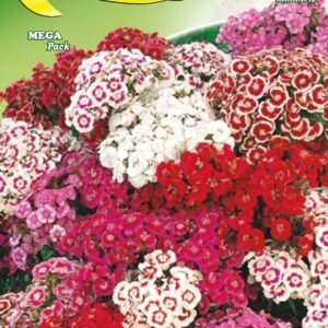 Semillas De Clavel De Poeta Doble Mix