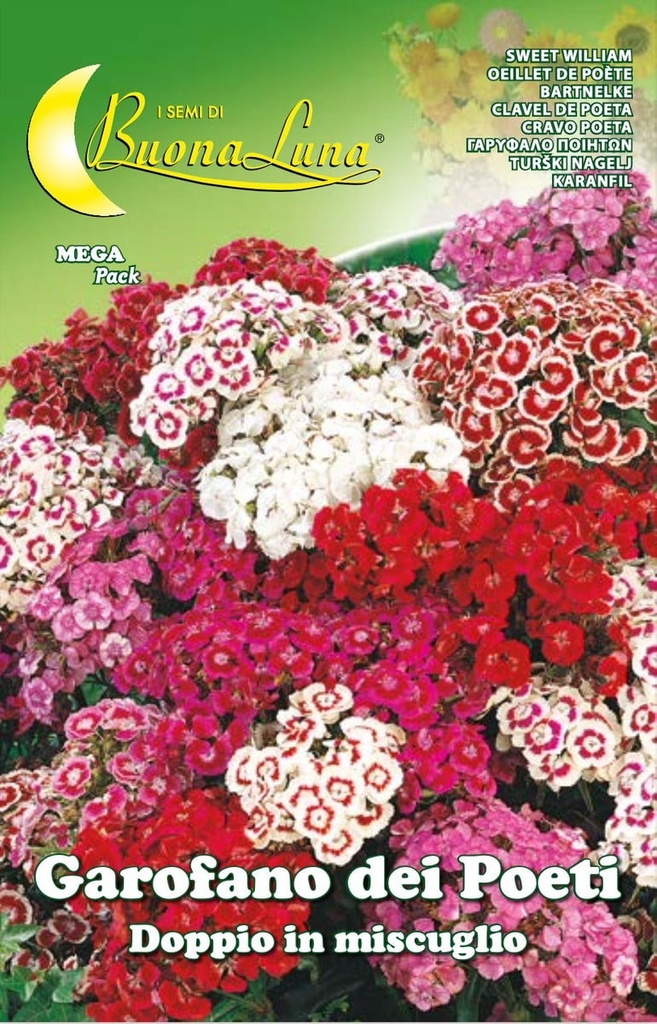 Semillas De Clavel De Poeta Doble Mix