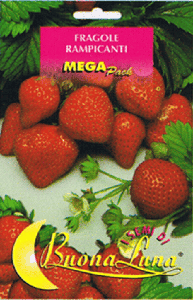 Semillas De Fresas Trepadoras