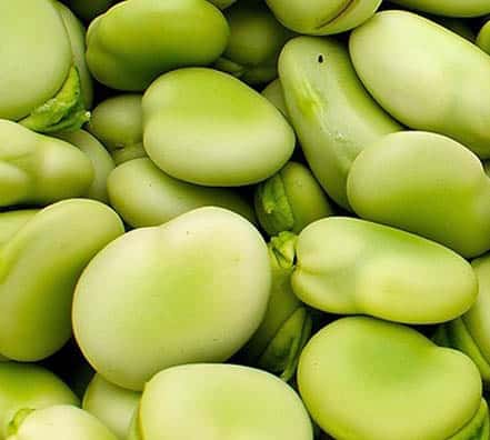 Habas Blanca Super Aguadulce Importada 1 Kilo